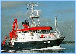 Alkor